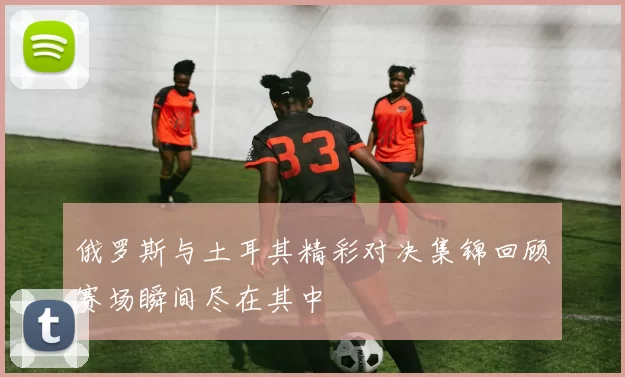 俄罗斯与土耳其精彩对决集锦回顾赛场瞬间尽在其中