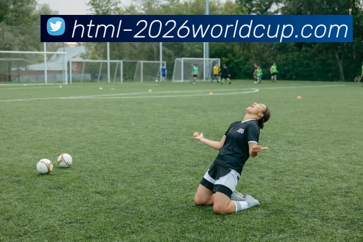2026世界杯买球服务体系